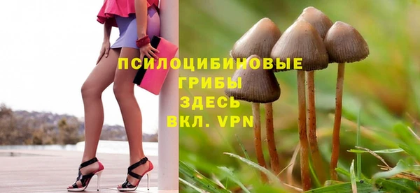 прущая мука Белоозёрский