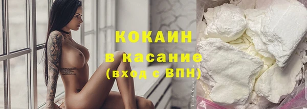 прущие крисы Белокуриха