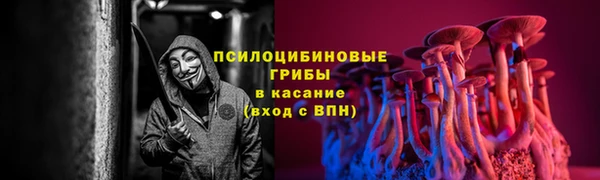 прущие крисы Белокуриха