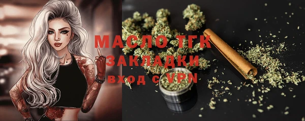 гидра Осинники