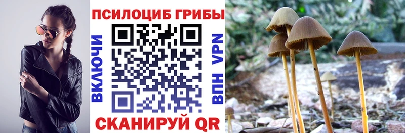 Галлюциногенные грибы ЛСД  Пионерский 