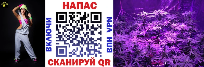 Канабис LSD WEED  цена   Пионерский 